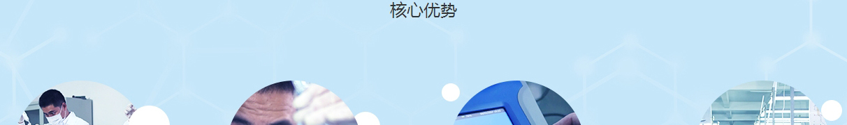 利来国国际网络网页设计