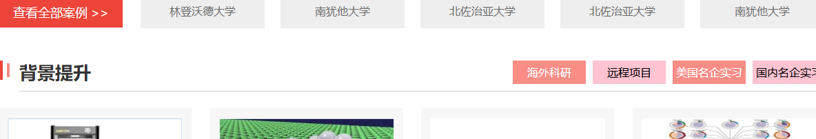 利来国国际网络网站案例