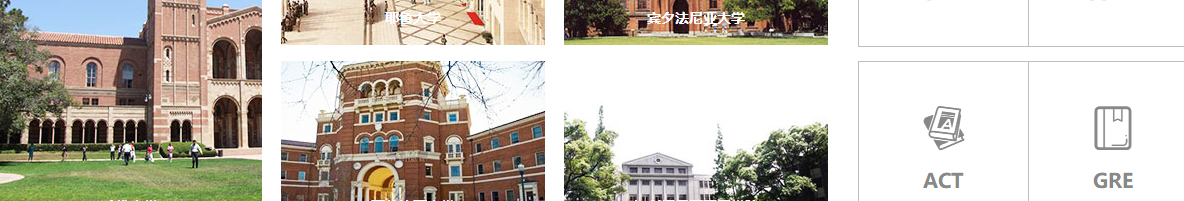 利来国国际网络网站案例
