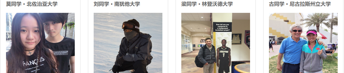 利来国国际网络网站案例