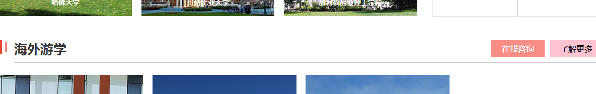 利来国国际网络网站案例