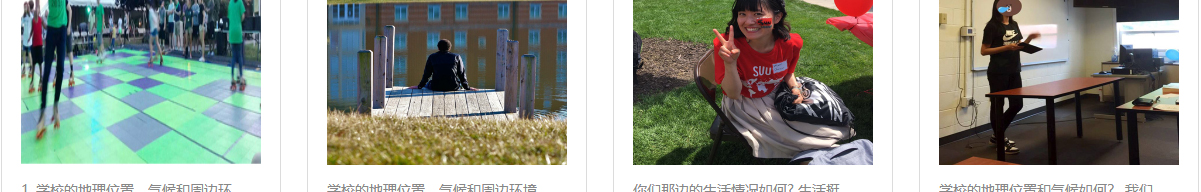 利来国国际网络网站案例