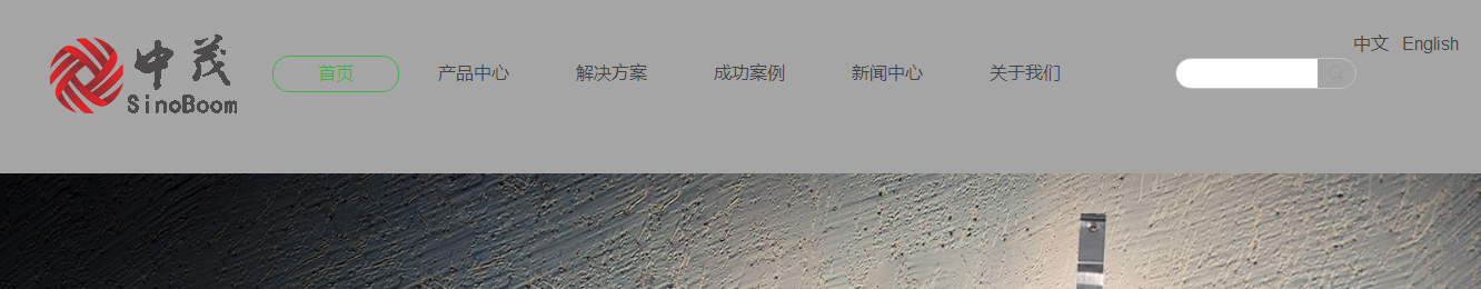 利来国国际网络网站案例