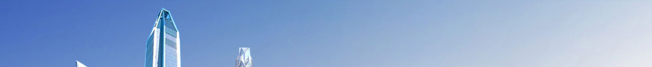 利来国国际网络网站案例