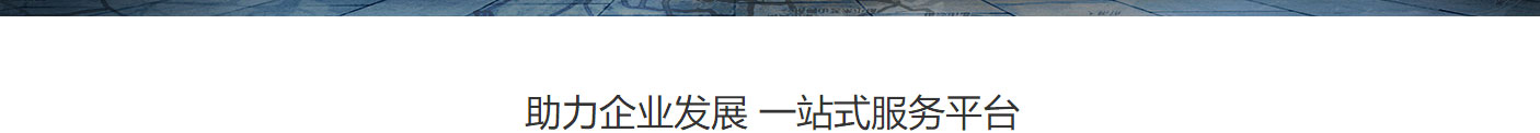 利来国国际网络网站案例