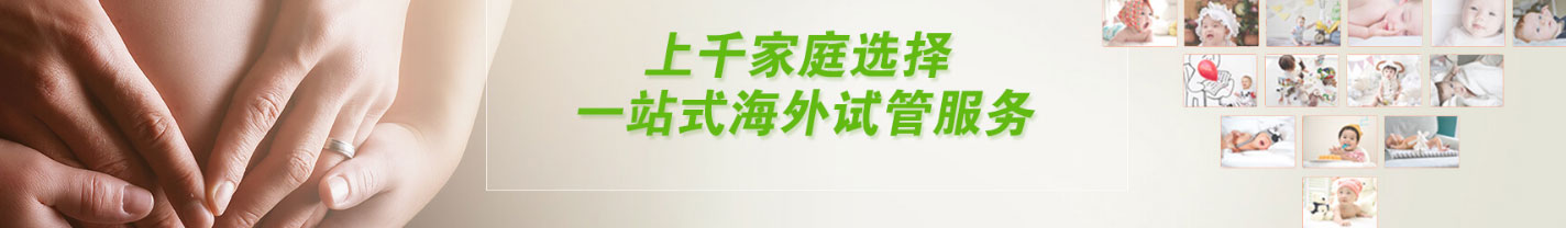 利来国国际网络网站案例