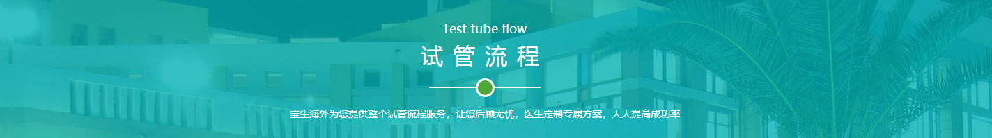利来国国际网络网站案例