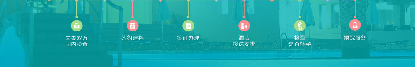 利来国国际网络网站案例