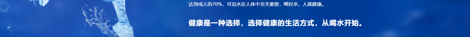 利来国国际网络网站案例