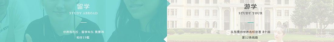 利来国国际网络网站案例